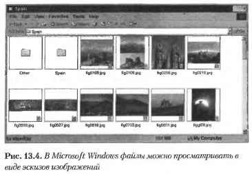  Microsoft Windows       